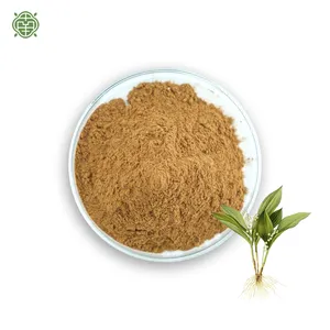 Factory Low Price Wholesale 100% Natural Herbal Plant Extract 10: 1 Zexie Herb Alisma Rhizoma Alismatis Extract Powder