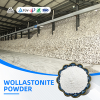 Poudre de Wollastonite pour la production de peintures, encres, revêtements, pigments, dispersions, apprêt et résines – Remplisseur de revêtement à base de Wollastonite