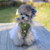 Robe de princesse classique brodée respirante en polyester de couleur unie pour petits chiens – Vente en gros transfrontalière