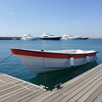 Grandsea 7,9 m/26 pieds Nouveau Bateau de Pêche en Fibre de Verre Pang avec Moteurs Hors-Bord pour Sports et Loisirs