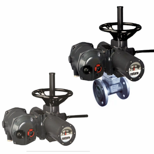 ควบคุมด้วยตัวกระตุ้น IQ3 -AWT และตัวเครื่องสแตนเลส - Product Image 4