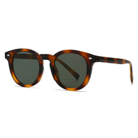 Lunettes de soleil polarisées rétro en gros Tr90 UV400 2026 Lunettes de soleil de qualité supérieure pour hommes Lunettes de soleil rondes