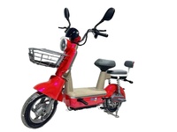 Vélo électrique urbain 500W 48V, cadre en acier 14 pouces, 2 roues, batterie au plomb-acide, moteur à moyeu arrière, panier avant