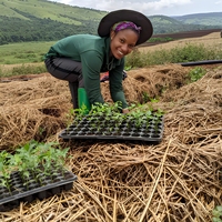 Plateau de semis respirant et épaissi pour arbres forestiers, avec 32/50 trous, pour fraises et fruits de la passion, fabriqué en Chine