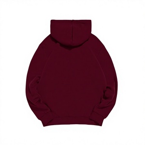 Sweat-shirt à capuche décontracté pour homme, manches longues, 100% coton, haute qualité, écologique, coupe classique, 350g, doublure polaire - Product Image 6