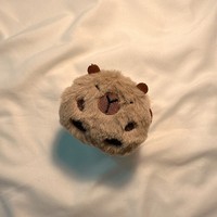 Housse de protection en peluche mignonne Capybara pour Pods, housse pour écouteurs, 2e et 3e générations