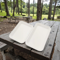 Assiettes et plateaux jetables en bagasse de canne à sucre, robustes, écologiques et compostables, pour mariages, anniversaires, camping, emballées