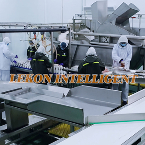 Macchine per la lavorazione del pesce linea di lavorazione del salmone - Product Image 5