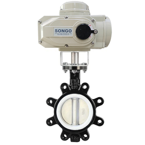 Válvula Motorizada de Hierro Dúctil con Sello de PTFE, 4-20 mA, DN50, 50 mm, 24 V - Product Image 4