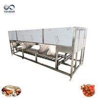 YOUBAN Fabrieks Prijs RVS Gewichtssorteermachine Automatische Fruitgewichtsgrader voor de Landbouwsector
