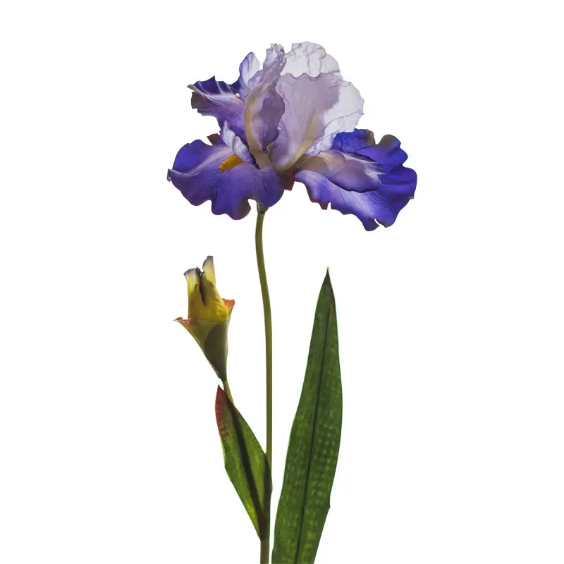 Dekorasi Tanaman Simulasi, Simulasi Iris Van Gogh Alice, Penataan Bunga Bentuk Bunga