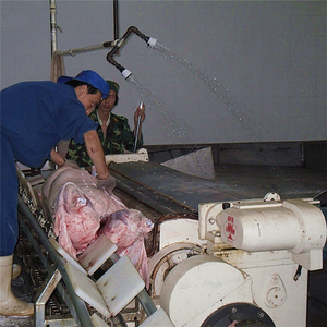 Equipo Completo para Matadero de Cerdos para Procesamiento de Carne de Cerdo en Mataderos - Product Image 4