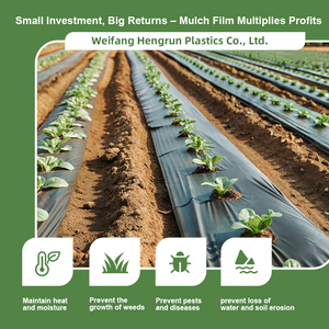 Nông nghiệp bạc đen mulch phim PE nhựa đen mulching phim cho nông nghiệp Sản phẩm nhựa - Product Image 3