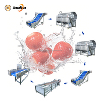 Automatische fruit- en bessenwasmachine, sorteermachine voor kumquats en aardbeien.