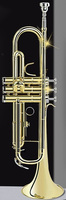 Quality JINBAO TRUMPET Brass Bb Key Gold Lacquer OEM