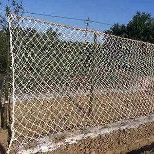 ตาข่ายไนลอนกลางแจ้งเพื่อความปลอดภัยสำหรับปีนเขาผลิตภัณฑ์พลาสติกทางการเกษตรสำหรับการป้องกัน - Product Image 3