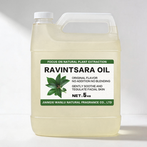 Huile Essentielle de Ravintsara 100% Pure et Naturelle de Madagascar, Distillée à la Vapeur, Vente en Gros, Huile d'Aromathérapie pour la Production Cosmétique - Product Image 1