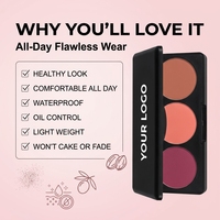Palette de fards à joues personnalisable à faible MOQ, trois couleurs, marque privée, vente en gros acceptée, maquillage, cosmétiques, poudre de blush