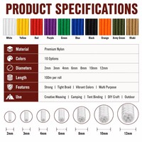 Cordon en nylon tressé coloré, corde de camping, corde de macramé pour bricolage, 10 couleurs, diamètres de 2 mm à 12 mm, rouleau de 100 m, OEM personnalisé