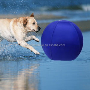 Pelota de Pastoreo Personalizada Race&Herd para Perros Pequeños y Cachorros, Juguetes para Perros, Pelota de Pastoreo, Pelotas de Pastoreo para Perros Pastores - Product Image 4