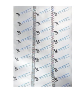 Etiquetas Digiteltech P14, Hoja de Impresión, Etiquetas de Papel Holográfico Plateado de Lujo para Impresión, Embalaje, 210 mm de Ancho - Product Image 1