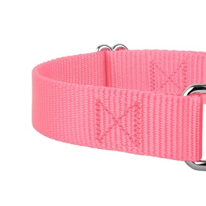 Pet eğitim malzemeleri Heavyduty naylon evcil hayvan tasmaları Martingale köpek tasması - Product Image 6