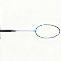 Raqueta de Bádminton para Principiantes, de Aleación de Hierro 513, de un Solo Tiro, Profesional, Duradera, con Marco de Alta Resistencia, para Entrenamiento en Interiores