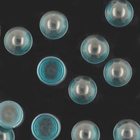 Cabochon à fond plat demi-rond coupé D-perle de couleur bleue, pierres précieuses en verre de bonne qualité