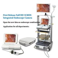 Chirurgie médicale d'urologie d'articulation de nez d'oreille caméra portative complète d'endoscope de Hd
