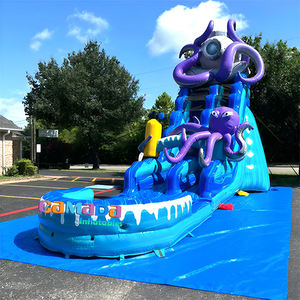 Toboggan aquatique gonflable double piste avec piscine amovible, idéal pour l'été – Nouveauté en promotion ! - Product Image 5