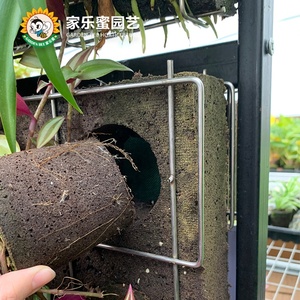 Vườn Bee Dọc Vườn Trang Trí Nội Thất Faux Nhà Máy Gỗ Hoàng Dương Hàng Rào Backdrop Nhân Tạo Bất Nhà Máy Tấm Cỏ Màu Xanh Lá Cây Tường - Product Image 2