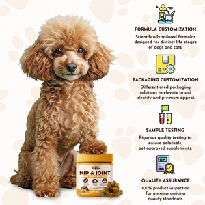 Private Label Pet Health Care <strong>Glucosamine</strong> Pet <strong>Supplements</strong> Hip Joint Support <strong>Dog</strong> Chondroitin Soft Chews <strong>Best</strong> Seller in Amz - Product Image 5