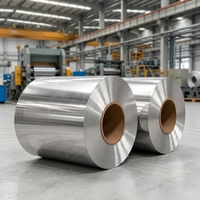Bande de tôle en alliage d'aluminium extra large 3003 finition usine pour usage industriel (réservoirs) avec services de pliage/soudage/découpe en rouleau