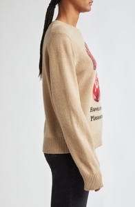 Patrón de logotipo personalizado y punto de letras moda Otoño mezcla de algodón suéter manga larga Mujer cuello redondo cereza pulóver - Product Image 4