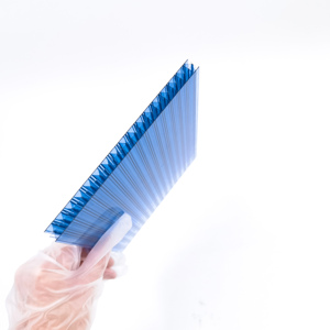 8 millimetri di Plastica Trasparente PC Pannello <span class=keywords><strong>Per</strong></span> <span class=keywords><strong>Coperture</strong></span> Anti UV Alveolare <span class=keywords><strong>In</strong></span> Policarbonato Hollow Fogli - Product Image 5
