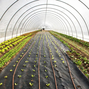 Grande serre tunnel simple pour légumes 8x30m, film PE, structure en acier galvanisé à chaud, personnalisable pour la culture de tomates et de fleurs - Product Image 6