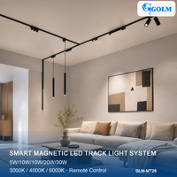 Projecteur magnétique DC48V DC24V 5W 12W, éclairage LED magnétique intelligent Tuya Zigbee, système de rail magnétique pour la maison