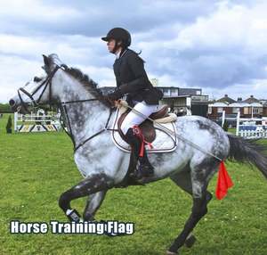 Bandera de Entrenamiento para Caballos con Mástil Telescópico de Acero Inoxidable y Logotipo Impreso Personalizado, 100% Poliéster, Color Completo, Elegante - Product Image 4