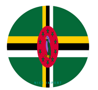 Sous-verres pour voiture avec drapeau de la Grenade, base antidérapante, sous-verres pour porte-gobelets, lot de 2, accessoires intérieurs pour voiture