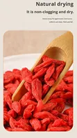 Ningxia Zhongning Goji Berry kering Premium 250g tas tersegel pabrik nutrisi tinggi ukuran besar 250g Per pak