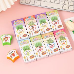 Mini Kit de Plantas en Maceta, Caja Sorpresa, Kit Educativo para Niños, Observación de Germinación de Semillas, Manualidades, Regalo para Tareas Escolares - Product Image 2