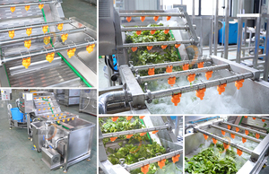 Ligne de découpe et de lavage pour laitues, choux, céleri et légumes à feuilles, avec machine de découpe en sections et laveuse par pulvérisation - Product Image 3
