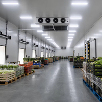 Système de réfrigération haute performance pour chambre froide de transformation alimentaire, viande, fruits de mer et aliments surgelés - Stockage en chambre froide
