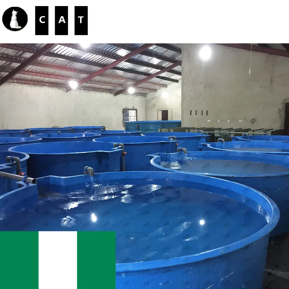 Nigeria Project Fresh Tilapia Fish Breeding Ras Filter System Recirculating Aquaculture System