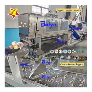 Baiyu Fruit & Vegetable Peeling Machine Specialized Garlic Processing Equipment Production Line