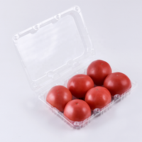Supermarkt versproducten verpakkingen vlees etensschalen containers blister plastic PET clamshell fruit groente verpakkingen trays