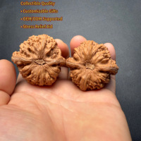 Paire de noyaux de noix sauvages ovales naturels de Qinling, trois côtés, de collection