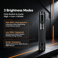 Lampe torche tactique anti-explosion ExibIICT4Gb 3W LED IP66 étanche rechargeable 18500 pour l'exploitation minière, la pétrochimie, logo personnalisé