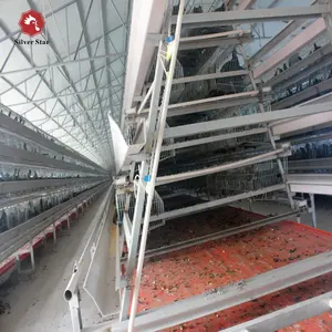 Silver Star automatic pp belt manure removal 4 layer galvanized chicken cage price