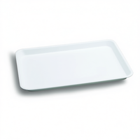 Plateau de service rectangulaire minimaliste à un seul niveau pour cuisine et restauration, 350x250x20mm, épaisseur 2cm, en PP blanc sans BPA